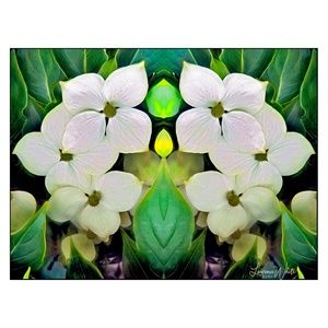 Surrey Blossom Montage